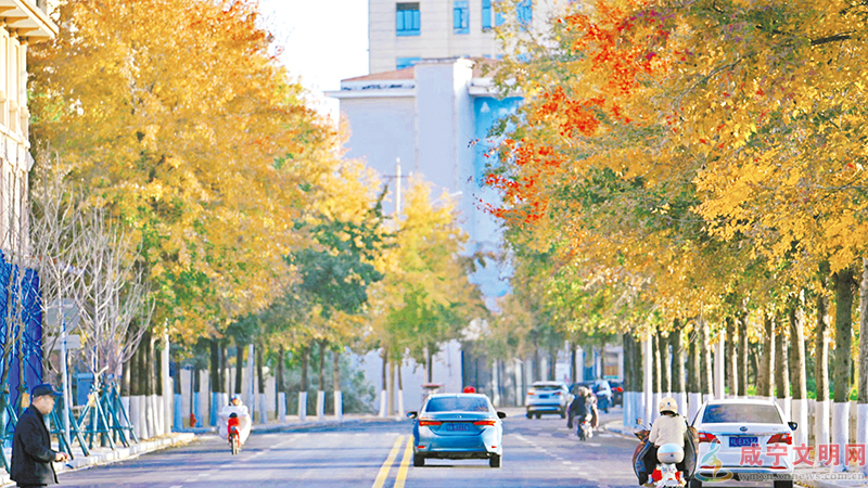 W020251210337063881765 (1).jpg