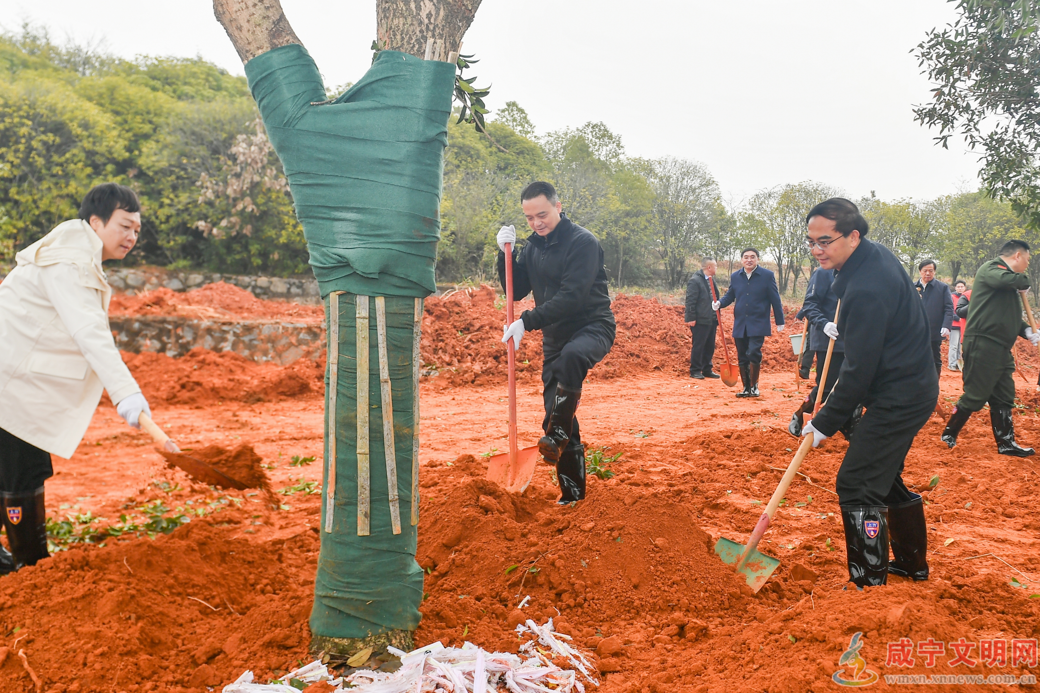 周锋参加义务植树并调研林长制工作 科学推进国土绿化 持续夯实生态本底